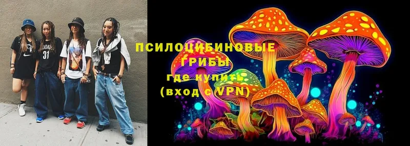 Галлюциногенные грибы ЛСД  Ельня 